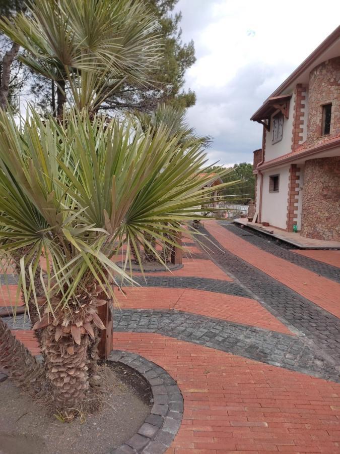 Bed and Breakfast Etna Casa Del Sole Николози Экстерьер фото