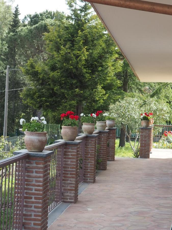 Bed and Breakfast Etna Casa Del Sole Николози Экстерьер фото